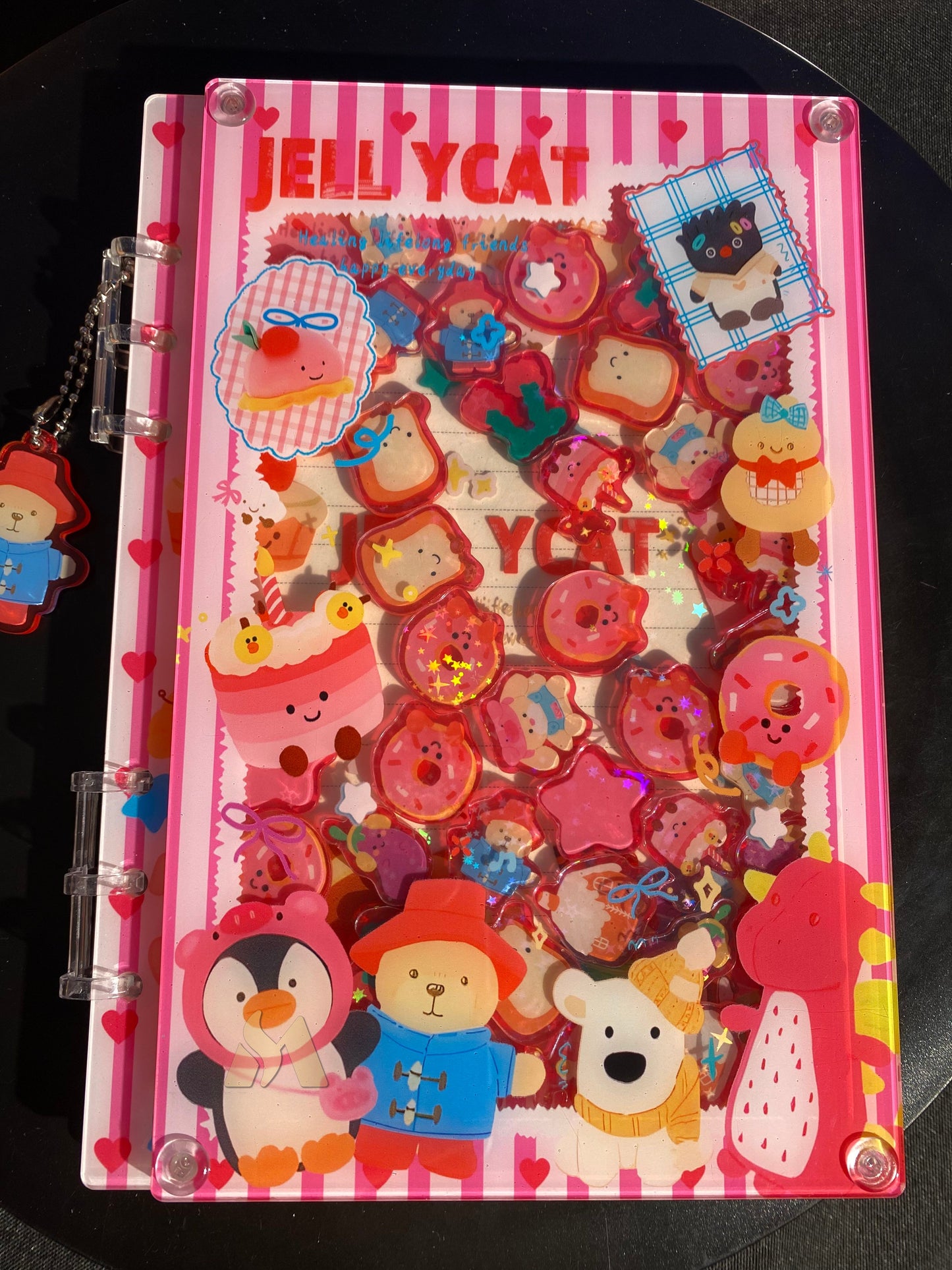 Jelly Cat A4/A5/A7 shaker notebook diy craft notebook