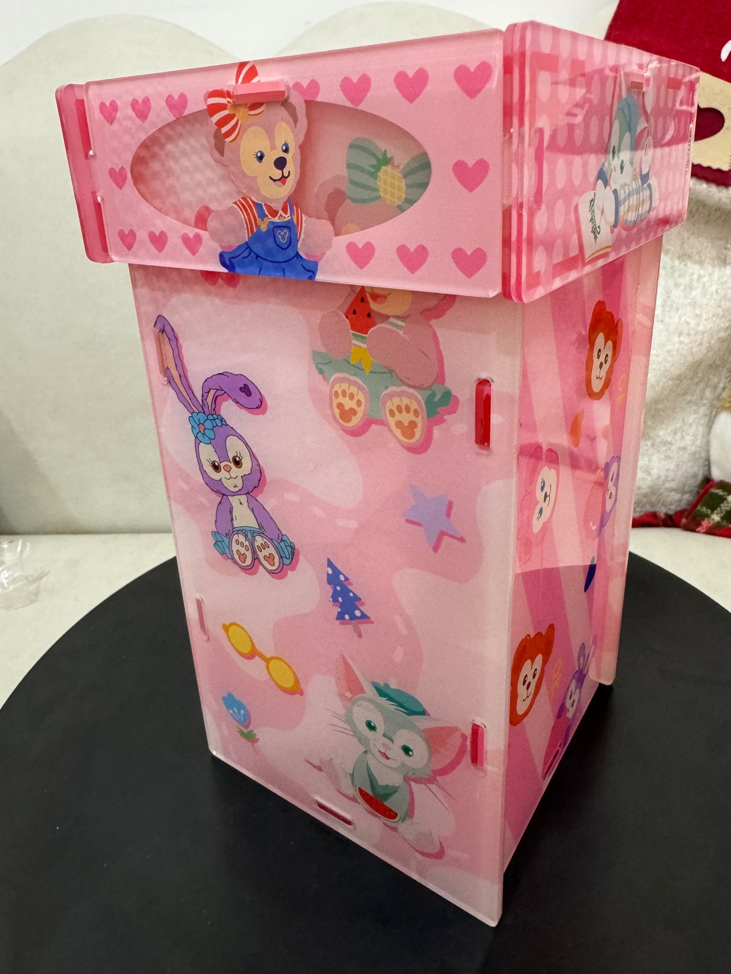 Acrylic Storage Box